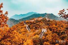 属鼠的结婚吉利时辰与命运解析