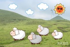 79年属羊女最难熬的年，79年属羊的佩戴什么最旺财？