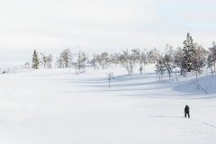 腊月生属鸡晚年再婚的幸福之旅